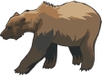 bear8.gif