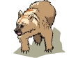 bear9.gif