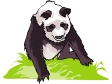 panda3.gif