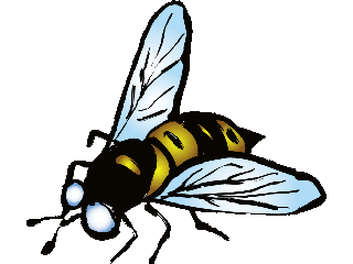 wasp.gif