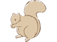 squirrelsketch.gif