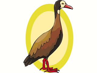 bird66.gif