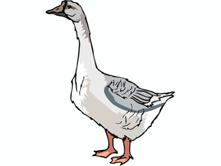 goose2.gif