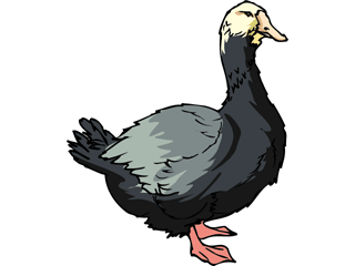 goose3.gif