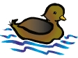 duck4.gif