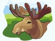 elk2.gif