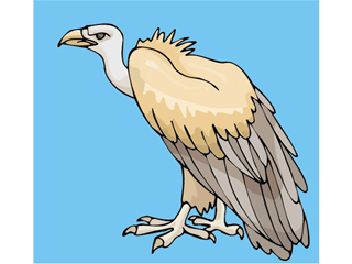 eagle8.gif