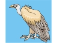 eagle8.gif