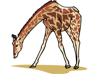 giraffe14.gif