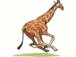 giraffe7.gif