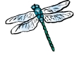 bluegreen_dragonfly.gif