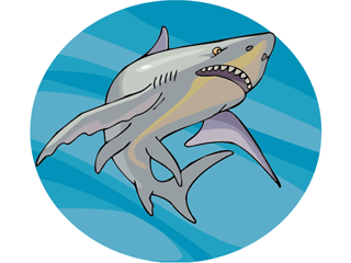 shark6.gif