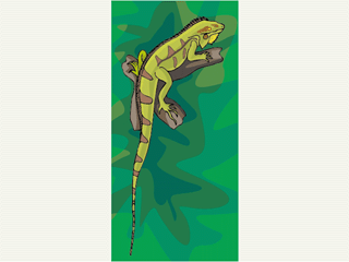 lizard14.gif