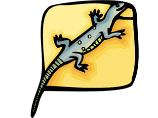 salamander2.gif