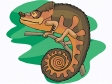 chameleon5.gif