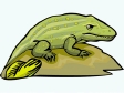lizard13.gif