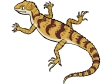 lizard4.gif