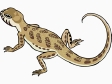 lizard7.gif