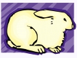 rabbit4.gif