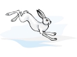 rabbit7.gif