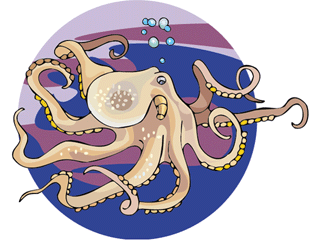 octopus2.gif