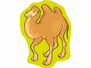 camel4.gif