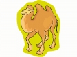 camel4.gif