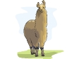 llama02.gif