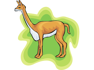 vicuna.gif