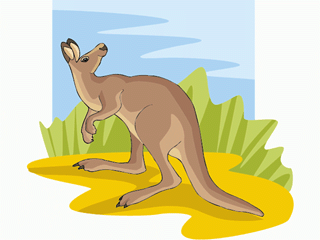 kengaroo3.gif