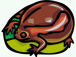 frog15.gif