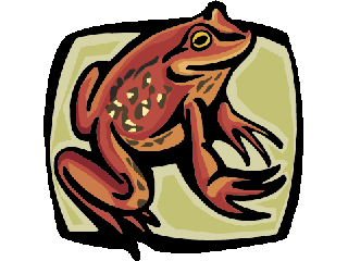 frog28.gif