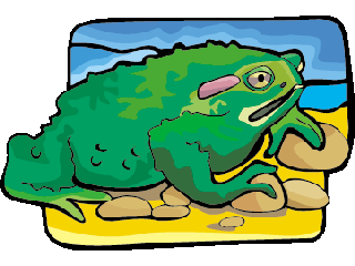 frog29.gif