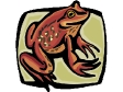 frog28.gif