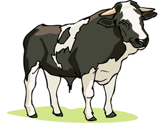 cow2.gif