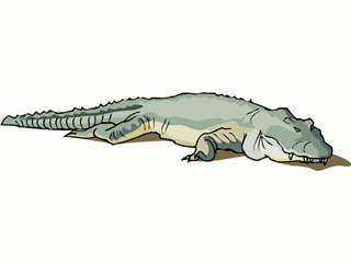 alligator7.gif