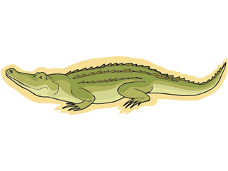 reptile2.gif