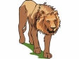 lion9.gif