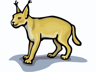 caracal.gif