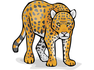 leopard.gif