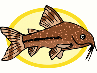 fish158.gif