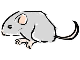 littlemouse.gif