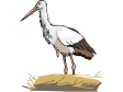 stork3.gif