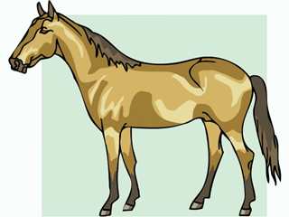 horse10.gif