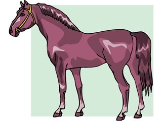 horse5.gif