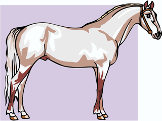 horse7.gif