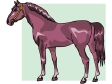 horse5.gif