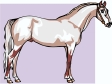 horse7.gif