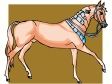 horse8.gif