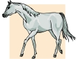 whitehorse.gif